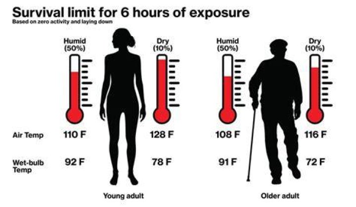 Uncovering The Limits: Exploring The Lowest Survivable Human Body Temperature
