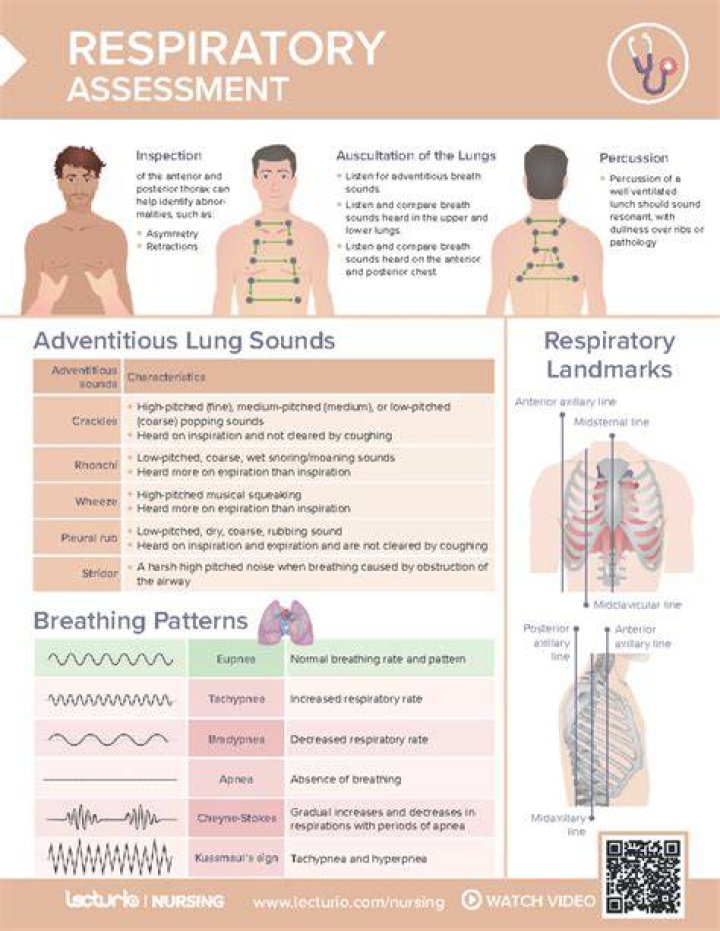 Understanding Newborn Respiratory: A Comprehensive Guide To Normal Breathing