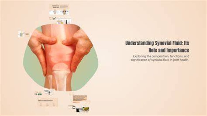 Understanding Synovial Fluid: Its Role And Importance