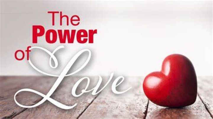 Unleashing The Power Of Love In Nature: Skip Sullivan's Guide