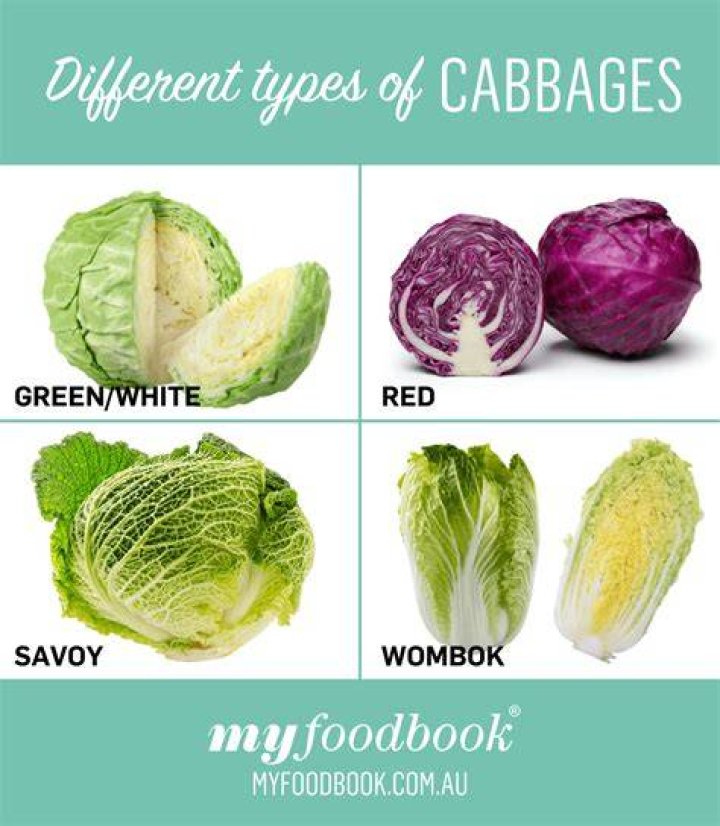 Unraveling The Differences: White Cabbage Vs. Purple Cabbage