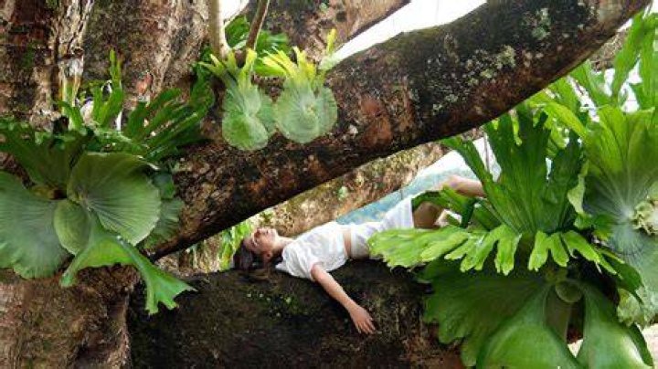 Unveil The Secrets Of Sustainable Living With "Mother The Mountain Farm OnlyFans"