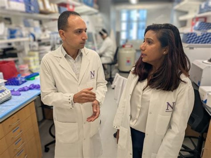 Unveiling Ai Yazawa Disease: Discoveries And Insights