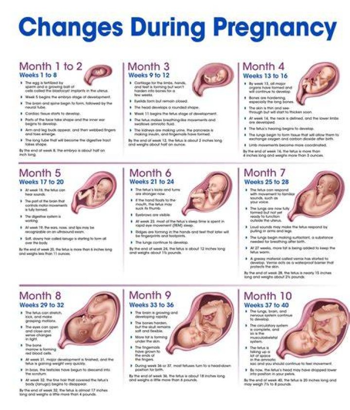 Unveiling Evangeline Lilly's Pregnancy Journey: Discoveries And Insights