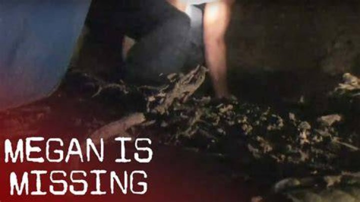Unveiling The Chilling Reality: Uncover The Missing Images Of Megan