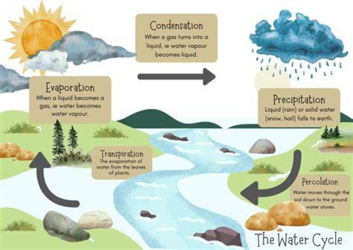 Unveiling The Consequences: Exploring A Water Cycle Without Condensation