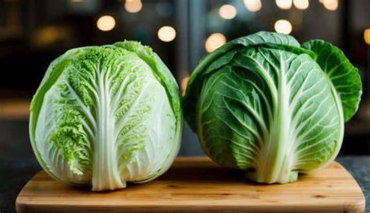 Unveiling The Distinctive Differences: Green Vs. Purple Cabbage