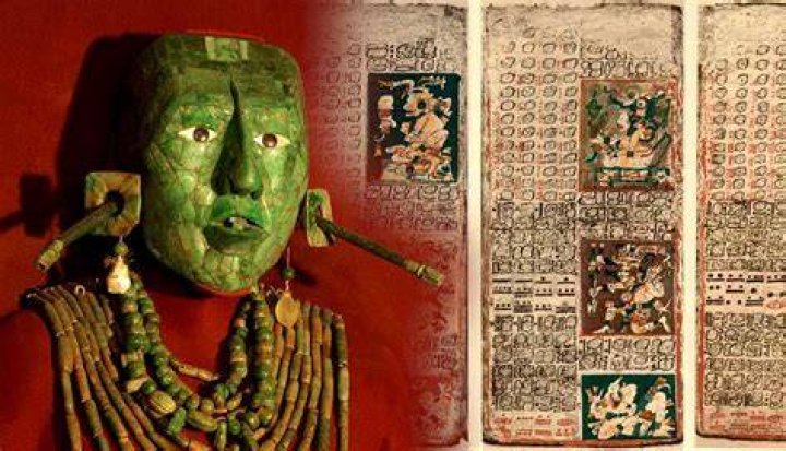 Unveiling The Expertise Of Maya Prosser: A Comprehensive Guide