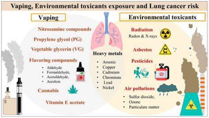 Unveiling The Hazardous Impact: How Plastic Incineration Poisons Our Air