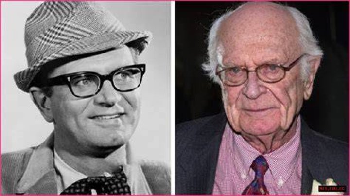 Unveiling The Life And Legacy Of Charles Nelson Reilly In Hollywood Squares