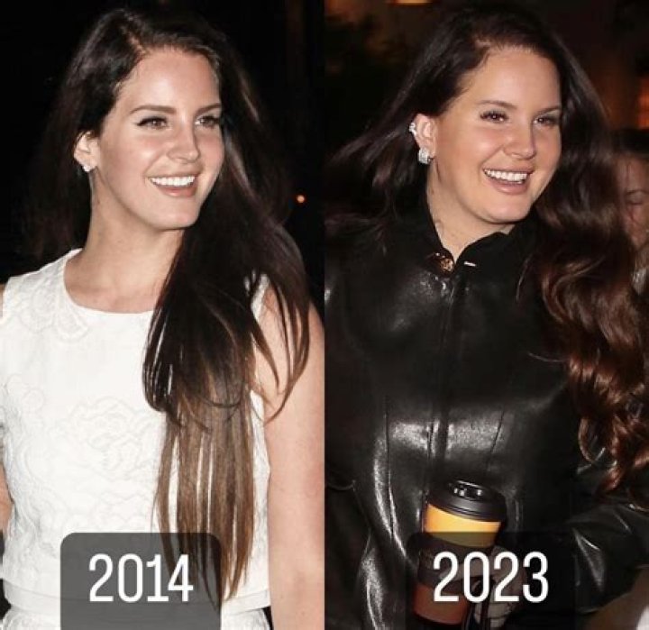 Unveiling The Truth Behind "Lana Del Rey Fat"