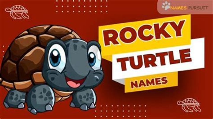 Unveiling Unique And Meaningful Rocky Turtle Names: A Journey Of Discovery