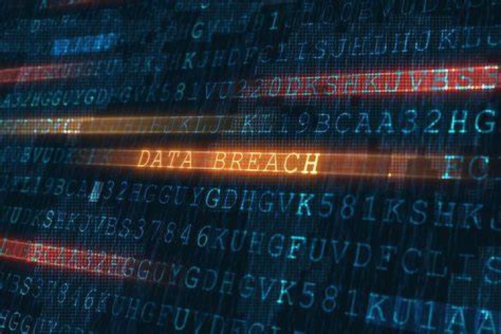 Urgent: Jellybeanbrains Leak Exposes Sensitive Information