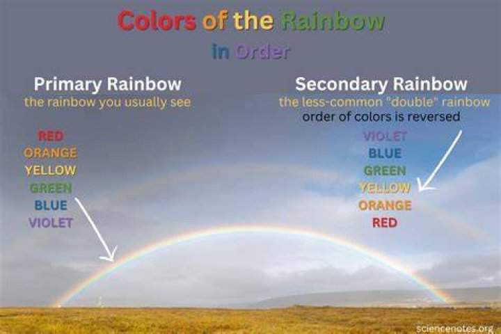 Vibrant Hues Of The Rainbow: Exploring The Colours Of The Days