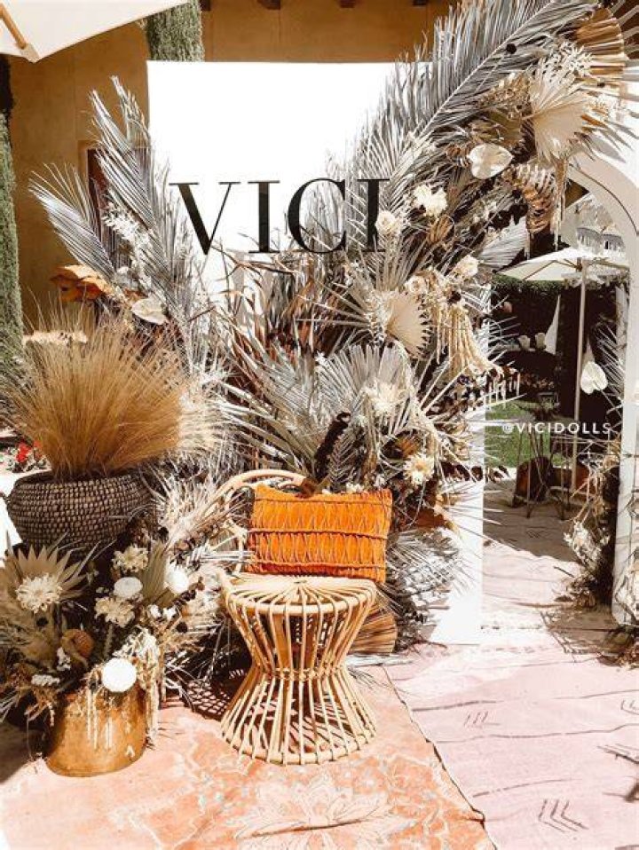 Vici Dolls' Chairwoman: The Visionary Behind The Brand