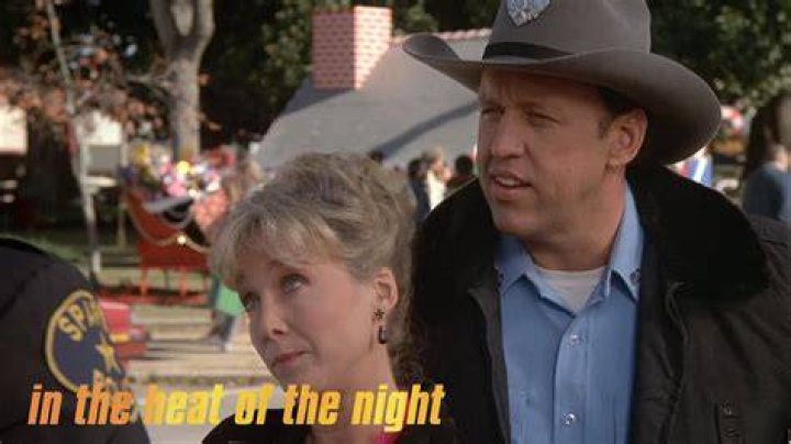 Virgil's Perspective: Unraveling The Heat Of The Night