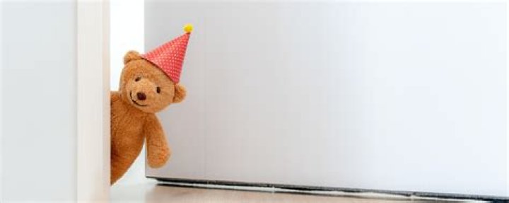 Was Teddy Behind Bars? The Truth About His Imprisonment