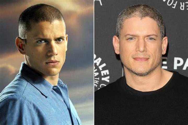 Wentworth Miller's Height: Uncovering The Details