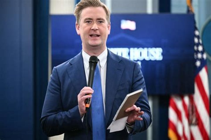 What's Peter Doocy's New Job? Find Out Here
