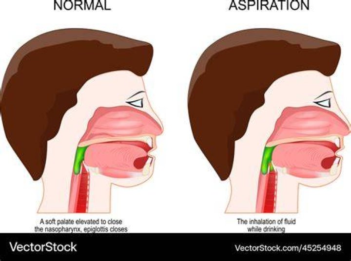 What Is Aspiration: Definition And Examples Of Aspirate Sounds