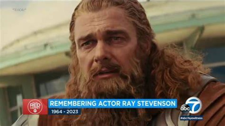 What Led To Actor Ray Stevenson's Tragic Demise?