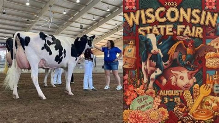 Wisconsin State Fair's Controversial Cow Name: A Racial Slur?