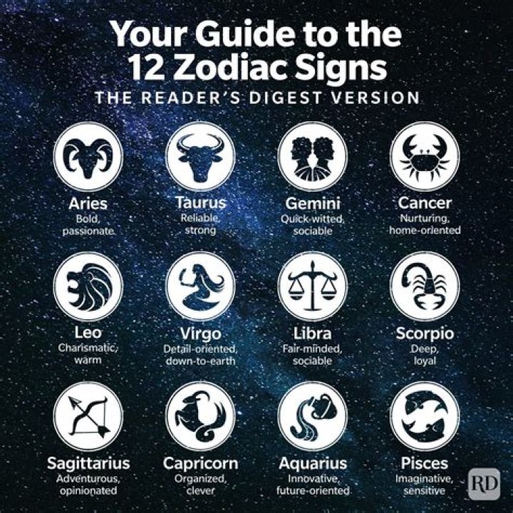Your Guide To The Rising Star